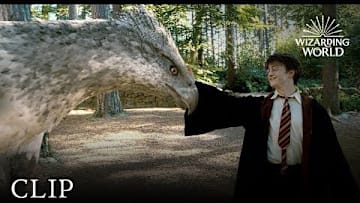 Meet Buckbeak | Harry Potter and the Prisoner of the Azkaban