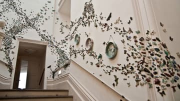 Anna Colette Hunt