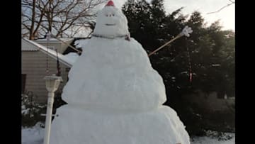 Save the Snowman, Facebook
