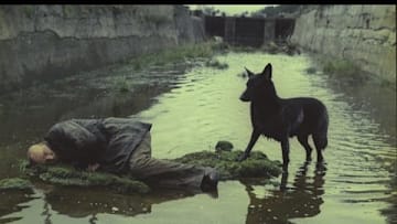 Stalker | Trailer | New Release