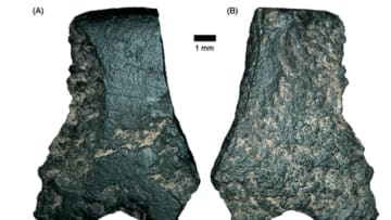 Australian Archaeology