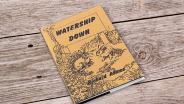 istock (blank book)