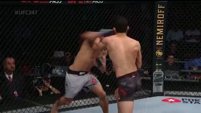 Journey Newson knocks out Domingo Pilarte with a strong right hand at UFC 247 Journey Newson knocks out Domingo Pilarte with a strong right hand at UFC 247