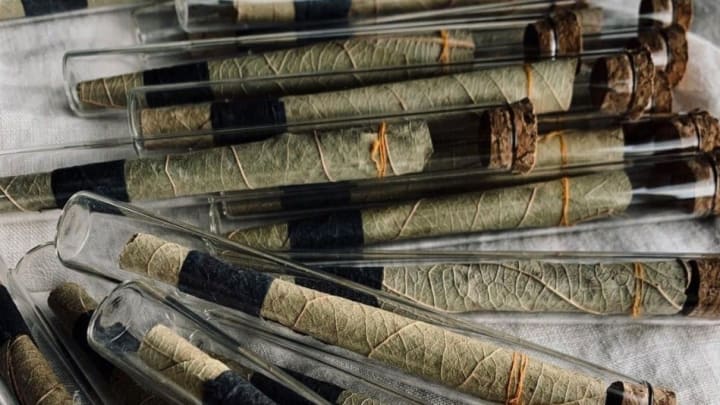 You might want to try these natural pre-rolls for your next blunt.