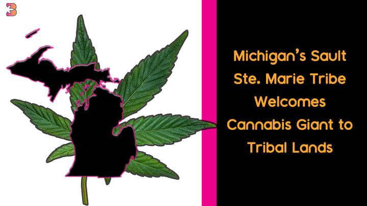 Ste. Sault Marie Tribe Welcomes Cannabis