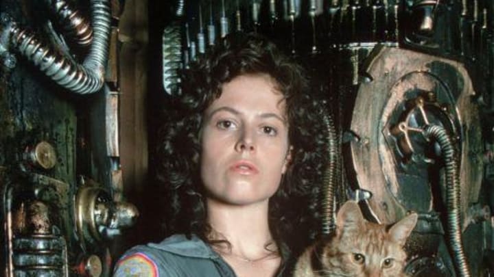 Jonesy From Alien Is The Star Of His Own Illustrated Book