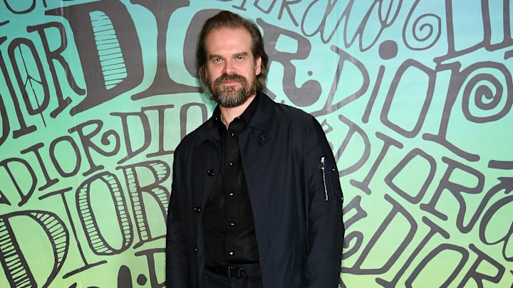 'Stranger Things' actor David Harbour at Dior Men Fall 2020 Runway Show 'Stranger Things' actor David Harbour at Dior Men Fall 2020 Runway Show