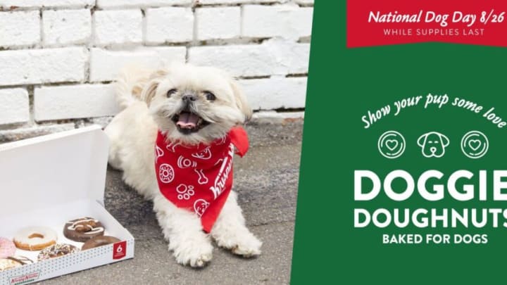 Krispy Kreme is celebrating National Dog Day with Doggie Doughnuts that will have dogs barking as the treats are released for the first time ever in the U.S. Image courtesy of Krispy Kreme