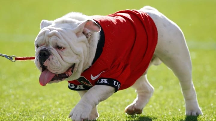 Apr 16, 2016; Athens, GA, USA; Georgia Bulldogs defensive end Jonathan Ledbetter (13) rushes the passer during the second half of the spring game at Sanford Stadium. The Black team defeated the Red team 34-14. Mandatory Credit: Brett Davis-USA TODAY Sports