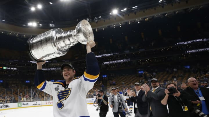 St. Louis Blues defenseman Jay Bouwmeester (19)Mandatory Credit: Winslow Townson-USA TODAY Sports