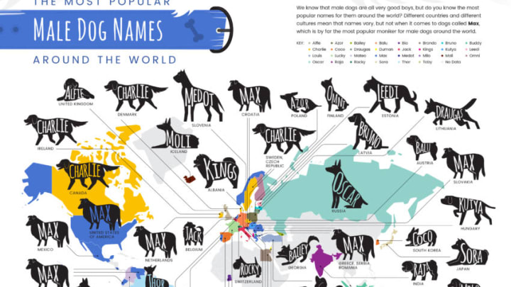 The Most Popular Dog Names Across the World Map. Image courtesy Budget Direct