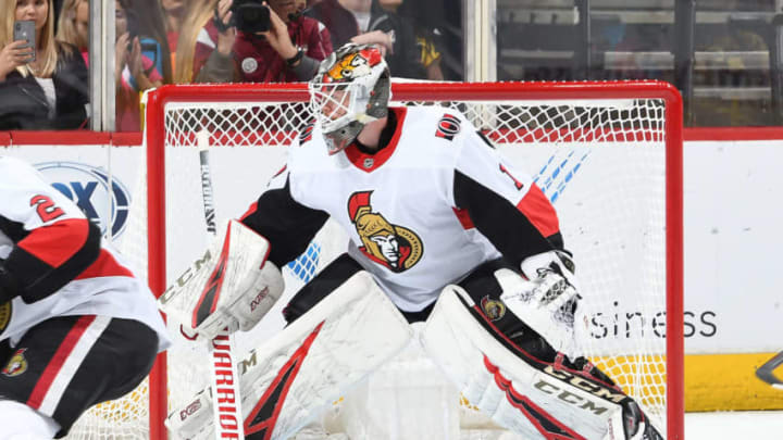 GLENDALE, AZ - OCTOBER 30: Mike Condon #1 of the Ottawa Senators gets ready to make a save against the Arizona Coyotes at Gila River Arena on October 30, 2018 in Glendale, Arizona. (Photo by Norm Hall/NHLI via Getty Images)