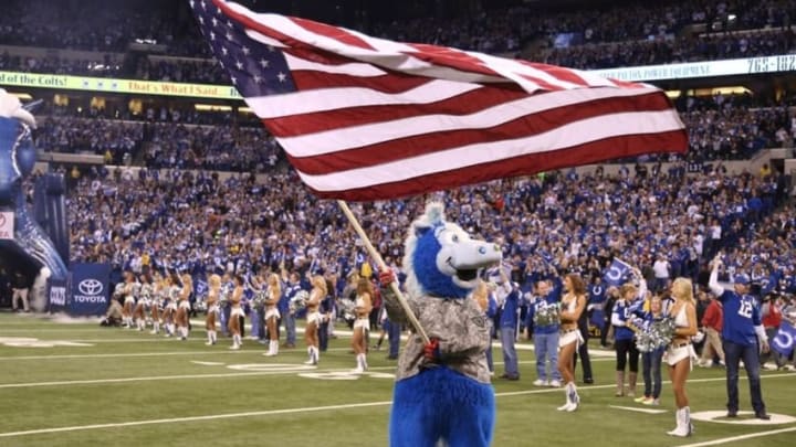 Nov 16, 2014; Indianapolis, IN, USA; Indianapolis Colts mascot Blue carries an American flag before the game against the New England Patriots at Lucas Oil Stadium. Mandatory Credit: Brian Spurlock-USA TODAY Sports