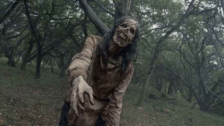 Fear the Walking Dead _ Season 5, Episode 1 – Photo Credit: Ryan Green/AMC