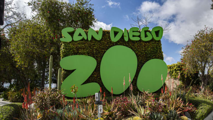 SAN DIEGO, CALIFORNIA - APRIL 11: General view outside San Diego Zoo as entertainment venues remain closed due to coronavirus on April 11, 2020 in San Diego, California. The entertainment industry has been hit hard by the restrictions in response to the outbreak of COVID-19. (Photo by Daniel Knighton/Getty Images)