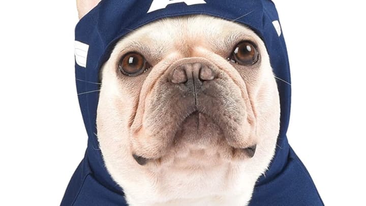 Discover Fetch For Pets' Captain America dog costume on Amazon.