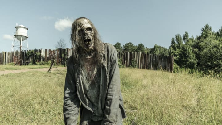 - The Walking Dead _ Season 11, Episode 13 - Photo Credit: Josh Stringer/AMC
