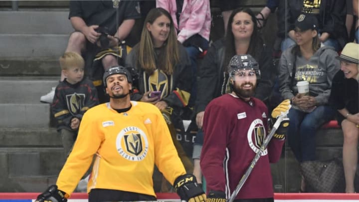 Ryan Reaves (L) #75 and Alex Tuch #89 of the Vegas Golden Knights. (Photo by Ethan Miller/Getty Images)