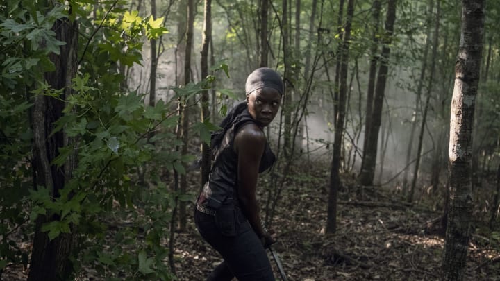 Danai Gurira as Michonne; single – The Walking Dead _ Season 10, Episode 12 – Photo Credit: Gene Page/AMC