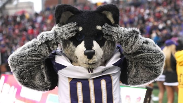 Nov 25, 2016; Pullman, WA, USA; Washington Huskies mascot Harry the Husky looks on against the Washington State Cougars during the second half at Martin Stadium. The Huskies won 45-17. Mandatory Credit: James Snook-USA TODAY Sports