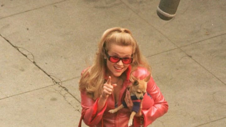 380629 05: ***EXCLUSIVE*** Actress Reese Witherspoon films a scene on the set of “Legally Blonde” October 21, 2000 in Los Angeles, CA. (Photo by Eric Ford/Online USA)