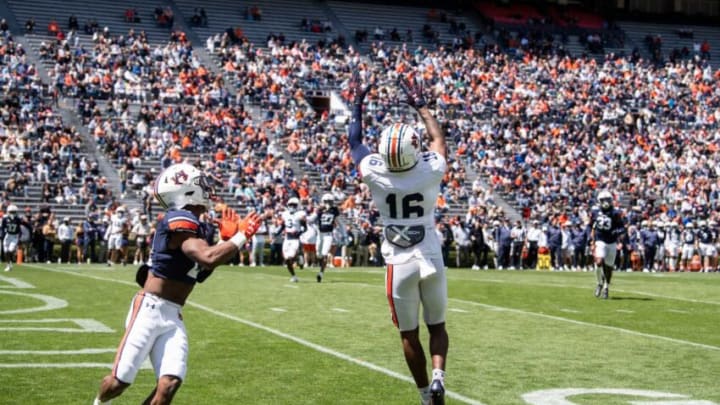 Auburn football wide receiver Malcolm Johnson Jr. (16) catches a pass in the end zone for a touchdown during the A-Day spring practice at Jordan-Hare Stadium in Auburn, Ala., on Saturday, April 9, 2022.