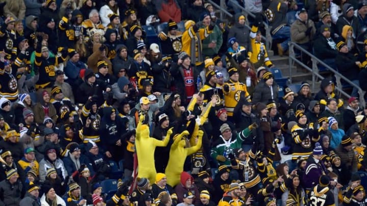 Jan 1, 2016; Foxborough, MA, USA; Fans cheer during the third period in the Winter Classic hockey game between the Boston Bruins and the Montreal Canadiens at Gillette Stadium. Mandatory Credit: Bob DeChiara-USA TODAY Sports