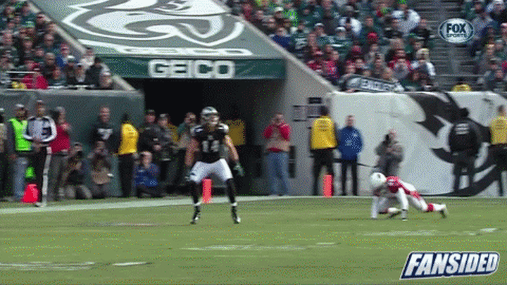 riley cooper one handed catch