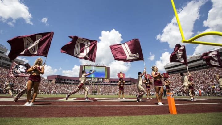 Sep 10, 2016; Tallahassee, FL, USA; Florida State Seminole cheerleaders celebrate a first half score against Charleston Southern at Doak Campbell Stadium. Mandatory Credit: Glenn Beil-USA TODAY Sports