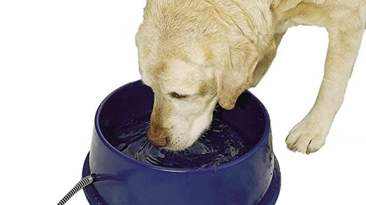 K&H Pet Products Thermal-Bowl Outdoor Heated Dog Bowl – Amazon.com