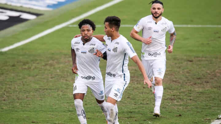 2020 Brasileirao Series A: Santos v Gremio Play Behind Closed Doors Amidst the Coronavirus (COVID - 2020 Brasileirao Series A: Santos v Gremio Play Behind Closed Doors Amidst the Coronavirus (COVID -