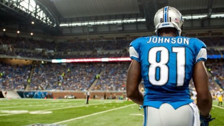 Sep 21, 2014; Detroit, MI, USA; Detroit Lions wide receiver Calvin Johnson (81) watches from the sidelines during the game against the Green Bay Packers at Ford Field. Mandatory Credit: Tim Fuller-USA TODAY Sports
