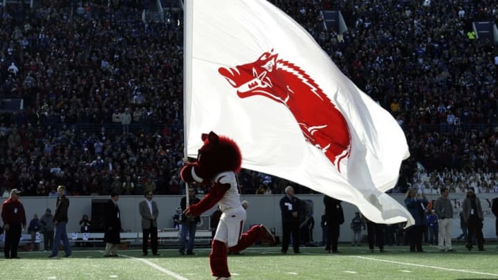 Jan 2, 2016; Memphis, TN, USA; Arkansas Razorbacks mascot carries out the school flag before the game against the Kansas State Wildcats at Liberty Bowl. Arkansas Razorbacks defeated the Kansas State Wildcats 45-23. Mandatory Credit: Justin Ford-USA TODAY Sports