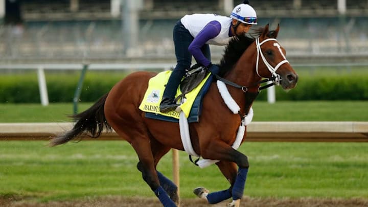LOUISVILLE, KENTUCKY - MAY 01: Maximum Security trains on the track during morning workouts in preparation for the 145th running of the Kentucky Derby at Churchill Downs on May 1, 2019 in Louisville, Kentucky. (Photo by Michael Reaves/Getty Images)