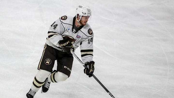 Connor McMichael, Hershey Bears