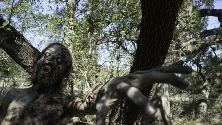 Fear the Walking Dead _ Season 6, Episode 7 – Photo Credit: Ryan Green/AMC