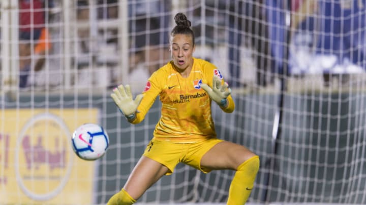 Chicago Red Stars, Sky Blue FC, Kailen Sheridan (Photo by Brad Smith/ISI Photos/Getty Images).