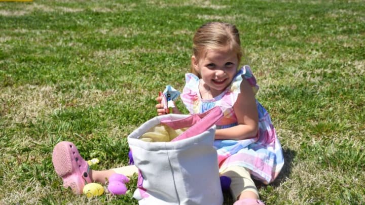 Ella Amis, 3, sorting her candy after the Easter egg hunt.Dsc 7334