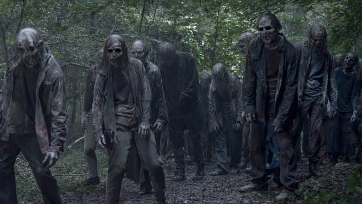 The Walking Dead _ Season 11, Episode 8 – Photo Credit: Josh Stringer/AMC