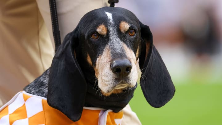 Nov 12, 2022; Knoxville, Tennessee, USA; Tennessee Volunteers mascot Smokey X during the first half of the game against the Missouri Tigers at Neyland Stadium. Mandatory Credit: Randy Sartin-USA TODAY Sports