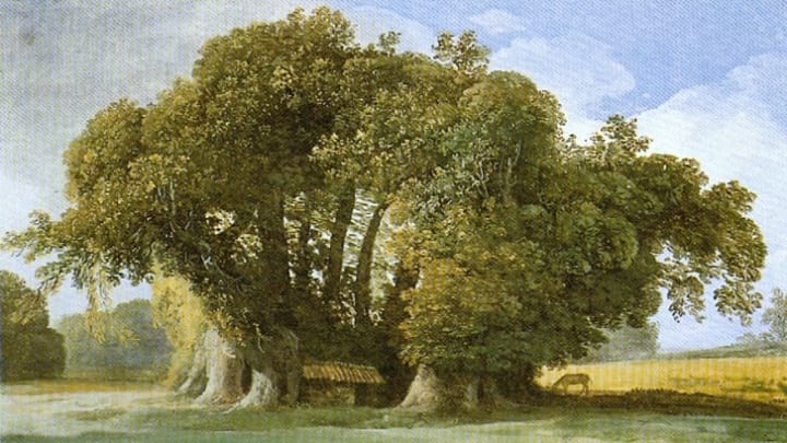 A 1777 of the tree.