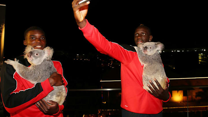 BRISBANE, AUSTRALIA - JULY 16: Liverpool FC players Mamadou Sakho and Sheyi Ojo cuddle Australia Zoo koalas Mackenzie and India at Gambaro Hotel on July 16, 2015 in Brisbane, Australia. Liverpool FC are in Queensland to play the Brisbane Roar at Suncorp Stadium on the first leg of their Australian tour (Photo by Chris Hyde/Getty Images for Tourism and Events Queensland)