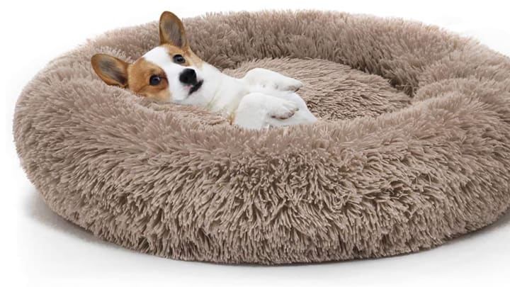 Discover MIXJOY's dog bed on Amazon.
