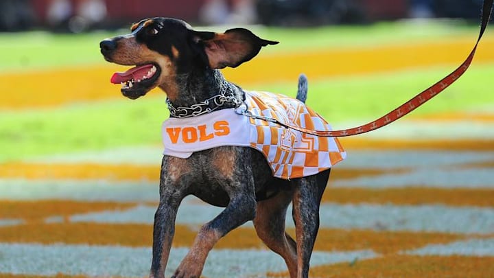 KNOXVILLE, TN - OCTOBER 5: The Tennessee Volunteers mascot Smokey runs through the end zone after a score against the Georgia Bulldogs at Neyland Stadium on October 5, 2013 in Knoxville, Tennessee. (Photo by Scott Cunningham/Getty Images)