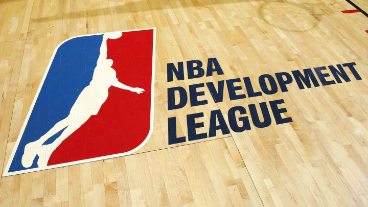 NBA Developmental League