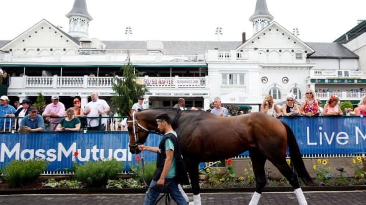 LOUISVILLE, KY - MAY 03: A horse is hot walked in the paddock ahead of the 144th Kentucky Derby at Churchill Downs on May 3, 2018 in Louisville, Kentucky. (Photo by Jamie Squire/Getty Images)