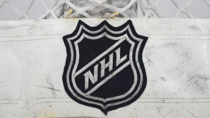 NHL logo (Photo by Patrick Gorski/Icon Sportswire via Getty Images)
