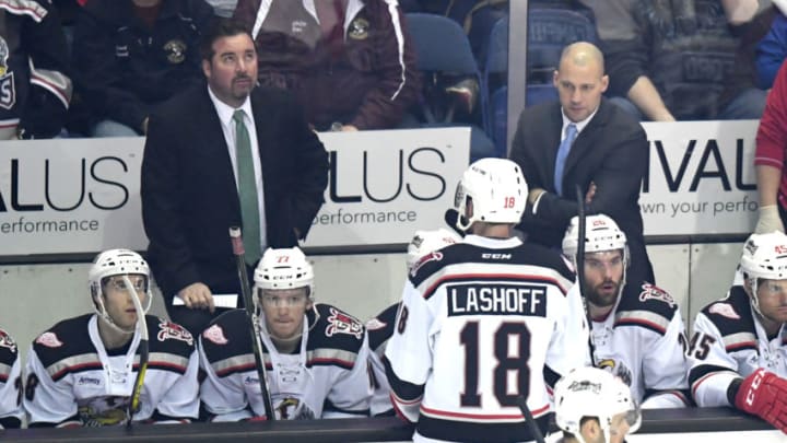 ROSEMONT, IL - MARCH 18: Grand Rapids Griffins head coach Todd Nelson and the bench during an AHL hockey game between the Chicago Wolves and Grand Rapids Griffins on March 18, 2017, at the Allstate Arena in Rosemont, IL. Griffins won 3-2 in overtime. (Photo by Patrick Gorski/Icon Sportswire via Getty Images)