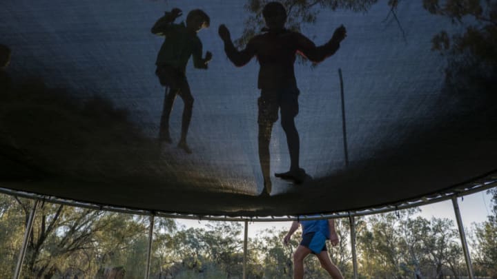 trampoline fetch (Photo by Mark Evans/Getty Images)