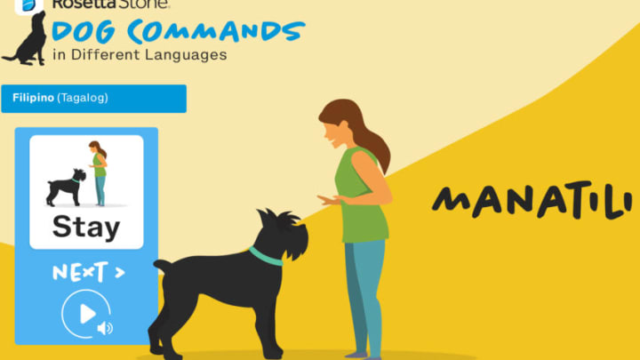 Photo: Rosetta Stone National Dog Day language guide key art Image Courtesy Rosetta Stone via ICF Next